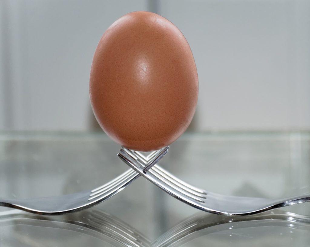 egg balanced