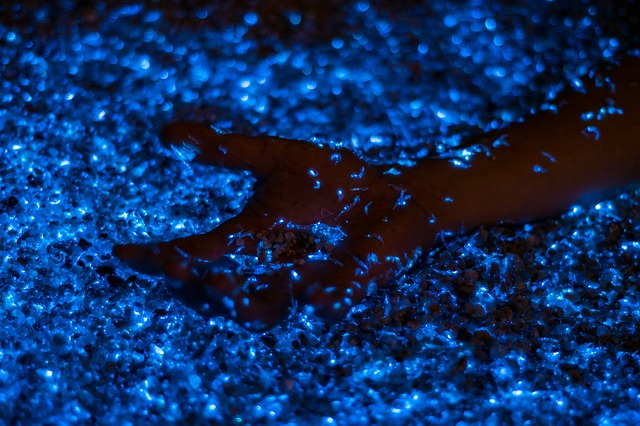 hand in shiny blue sparkles on sand